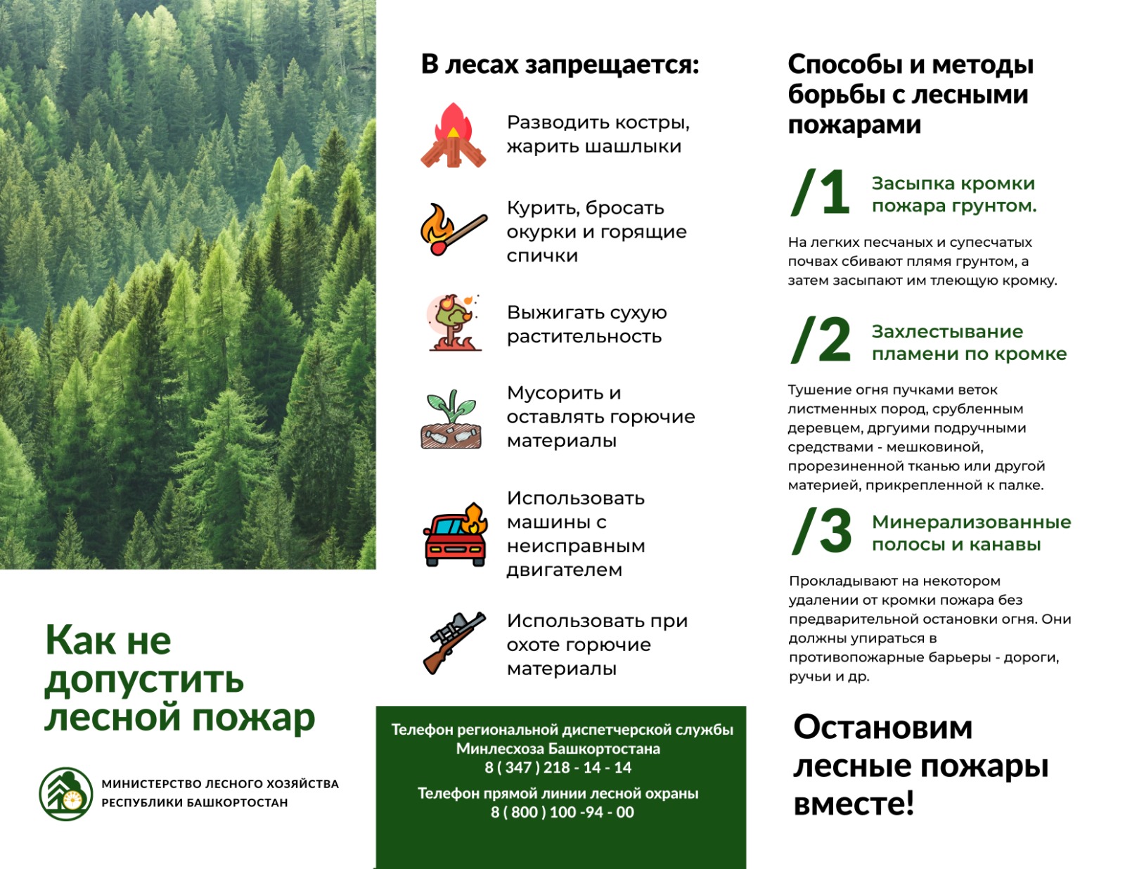 Лесной пожар