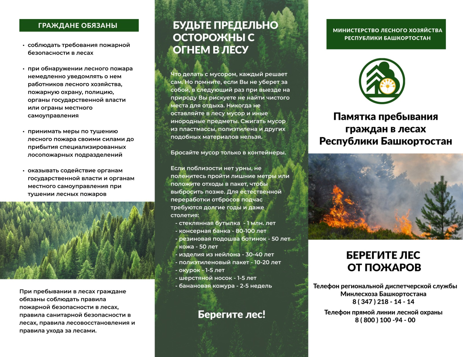 огонь в лесу